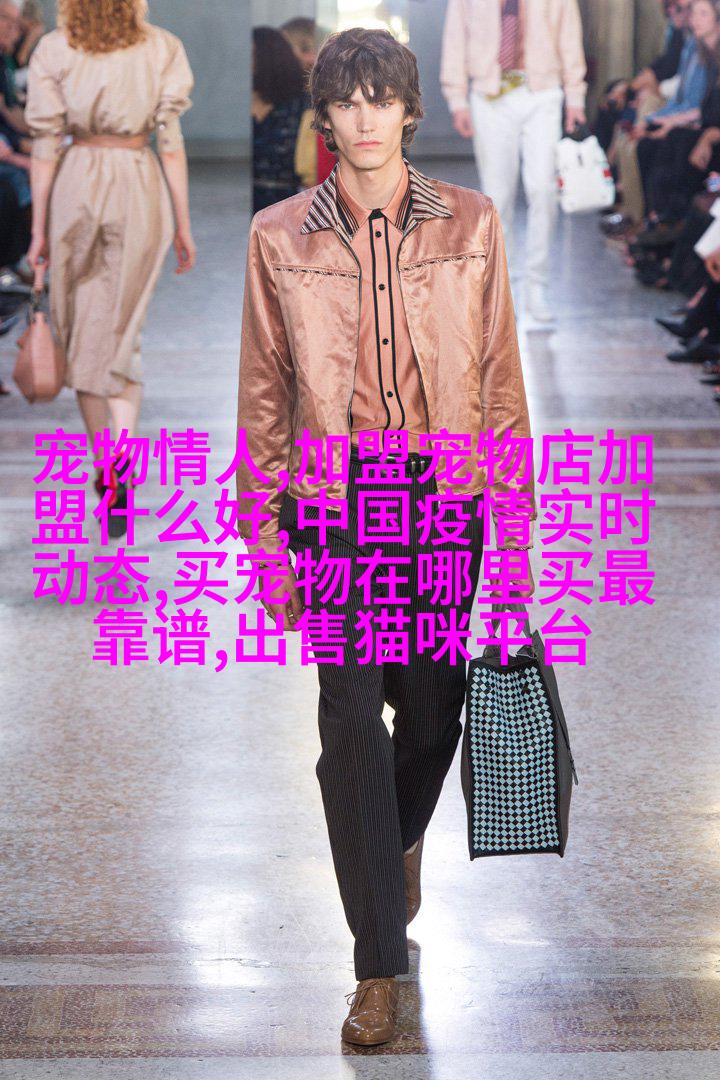 哈士奇比熊阿拉斯加混合