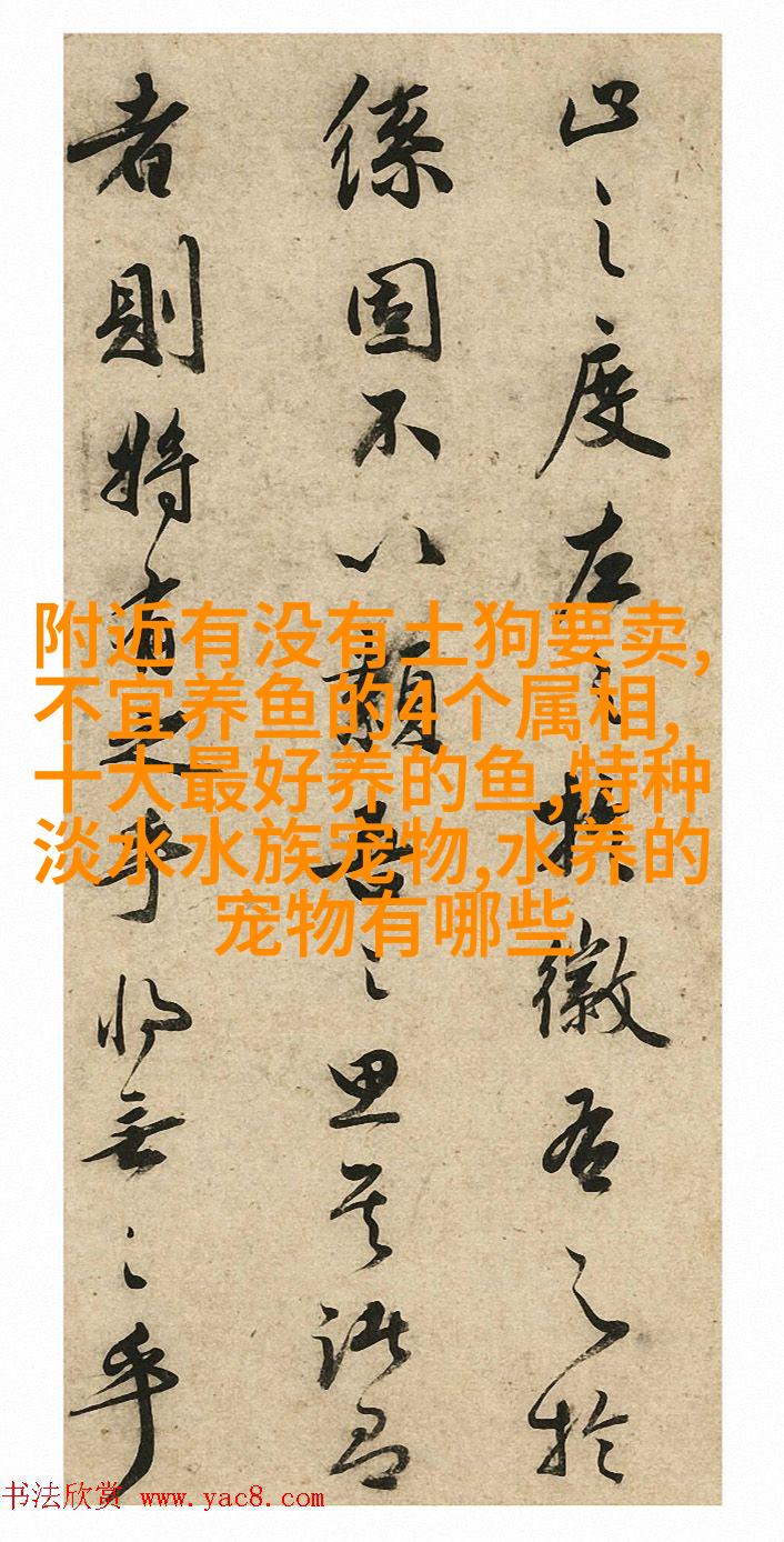 新鱼入缸新的银龙鱼刚刚买回时,鱼缸里的空气泵要经过至少24个小时运行