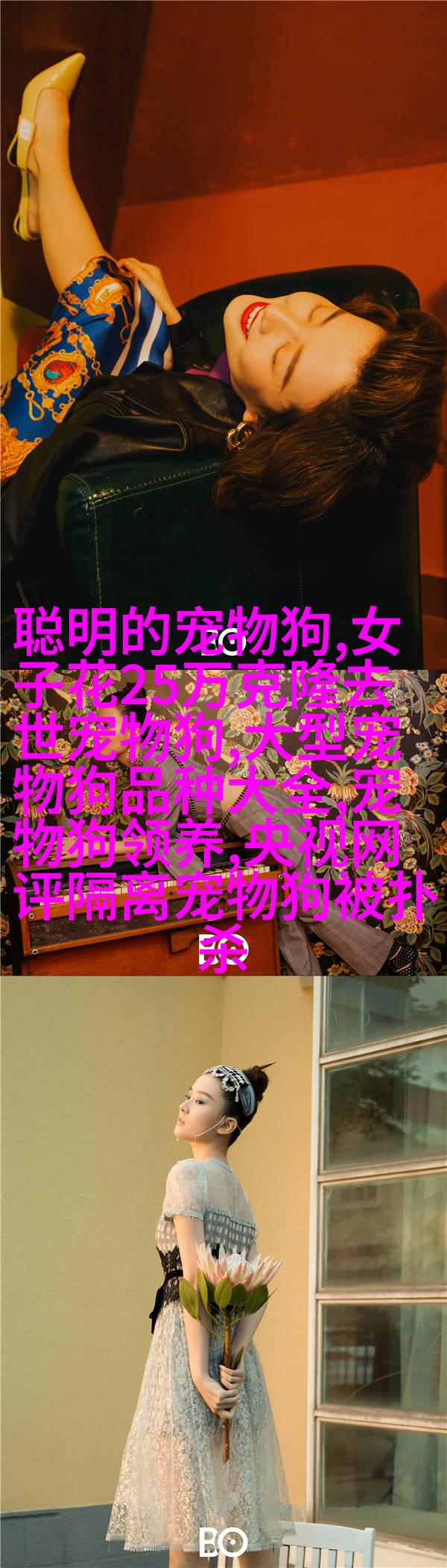 图3: 德国牧羊dog