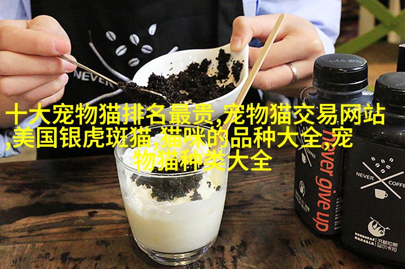 萨摩耶德大