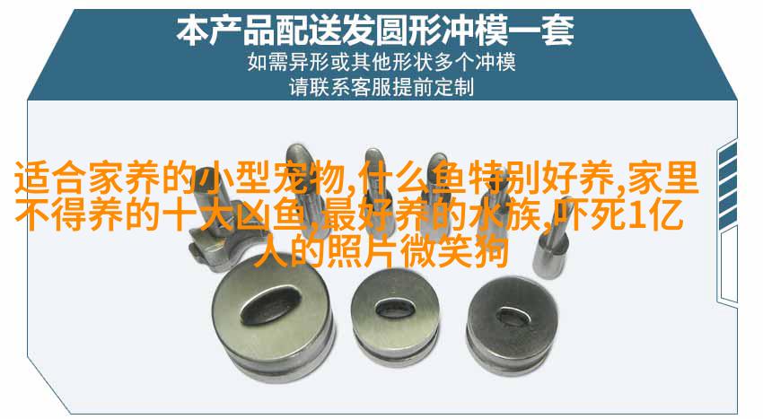 雌雄同体
