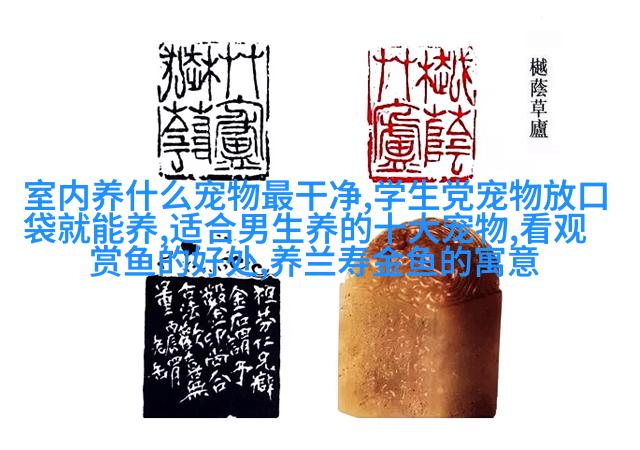俄罗斯蓝眼