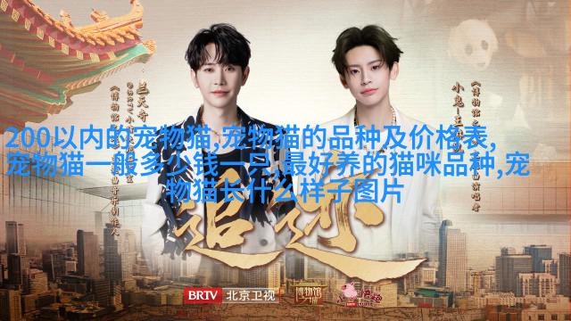 图例