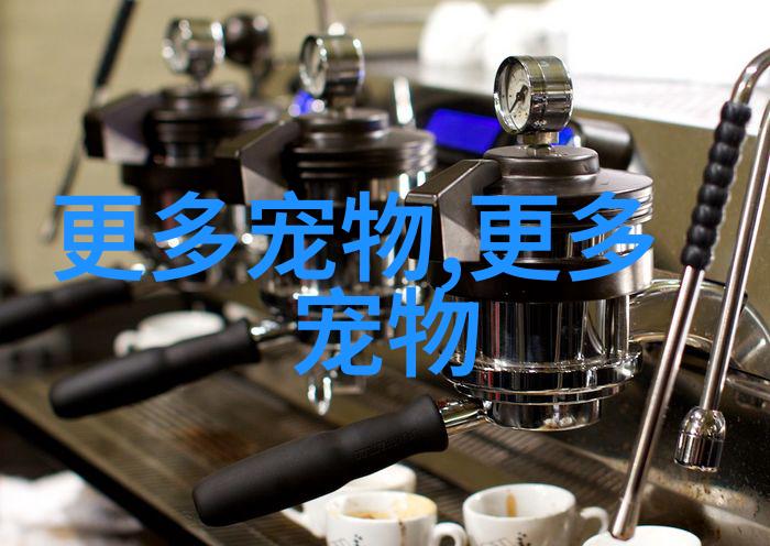 好养的热带鱼