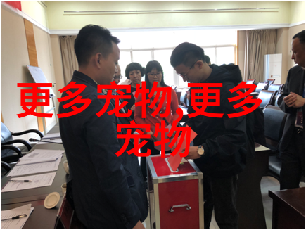 天天嚷嚷着狗聪明,还搞了个智商排行榜,这喵星人怎么能服气