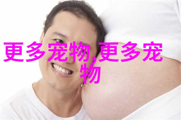 探索大侠