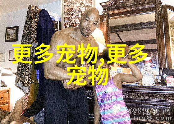 金毛寻回犬
