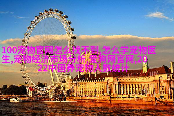 图4: 法国斗牛梗