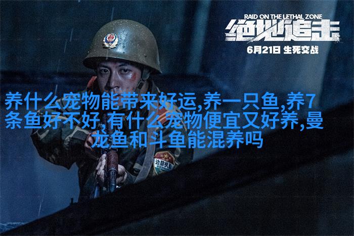 美国库拉索
