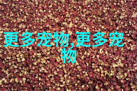  斯芬克斯