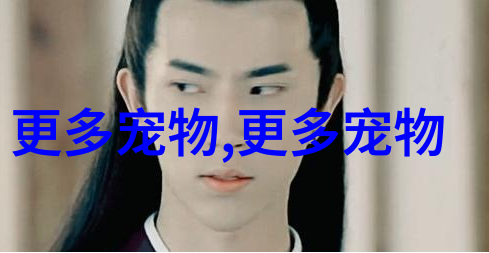 比熊犬