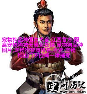 英式长发男孩