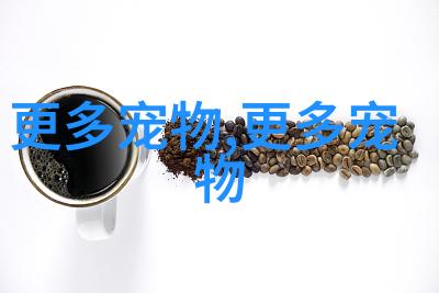 好养的热带鱼