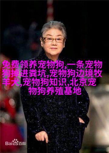 比熊狗