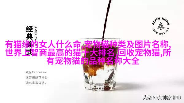 法国梗