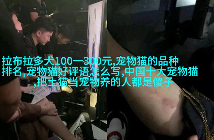 图6: 哈士基