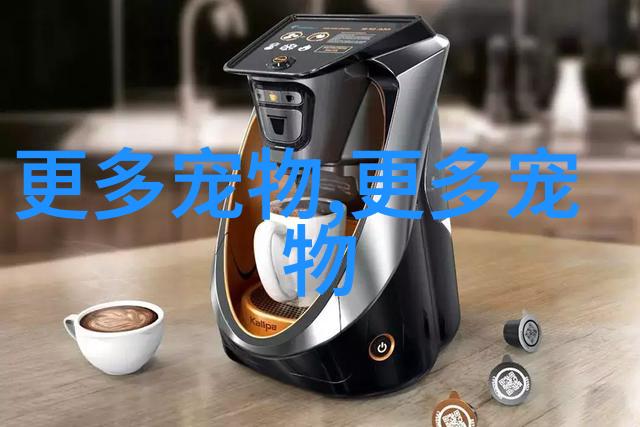 英国短毛