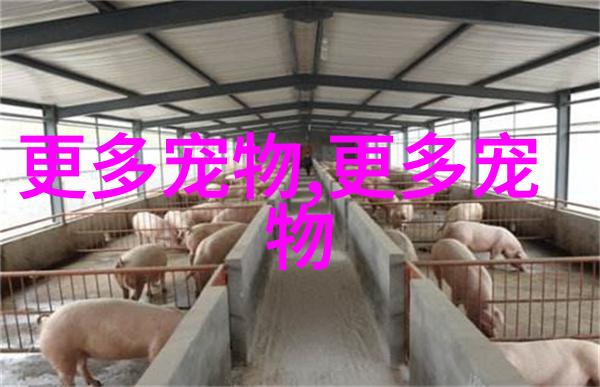 萨摩耶德