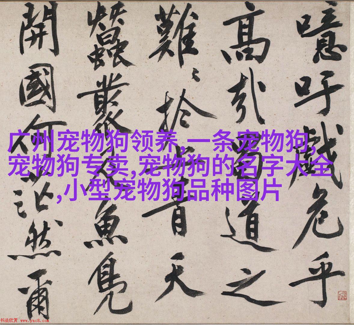 成熟时期