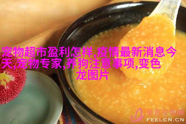 比熊
