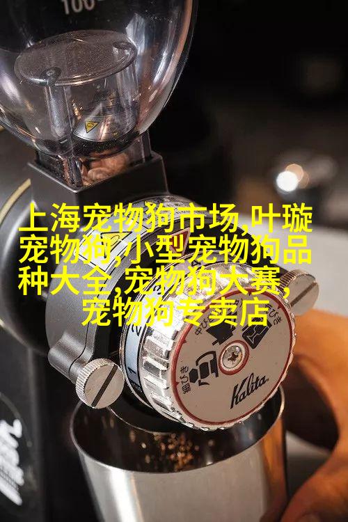 地中海蓝眼
