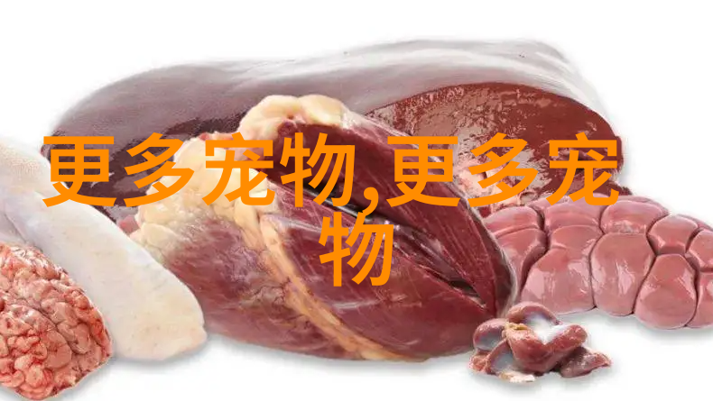 图4: 法国斗牛梗站在花台上