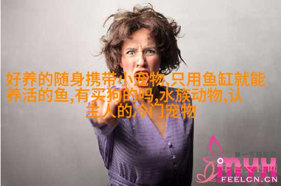 埃及缤纷短 毛