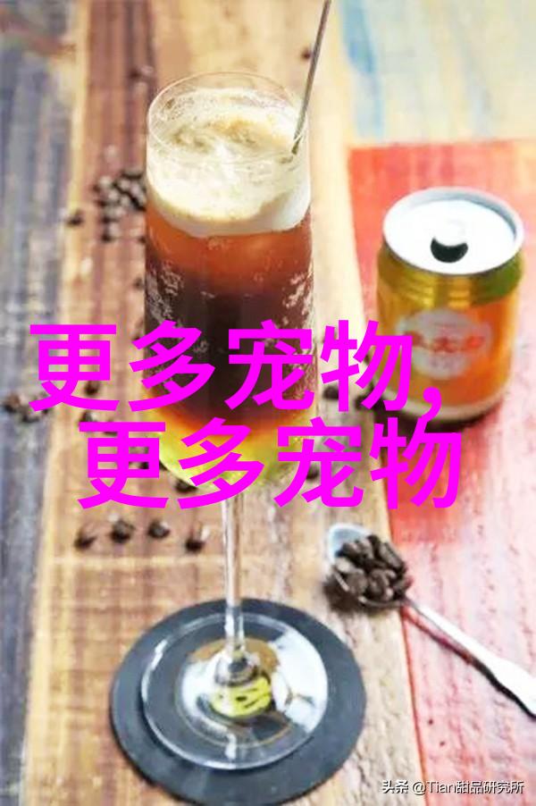 小金毛寻回犬
