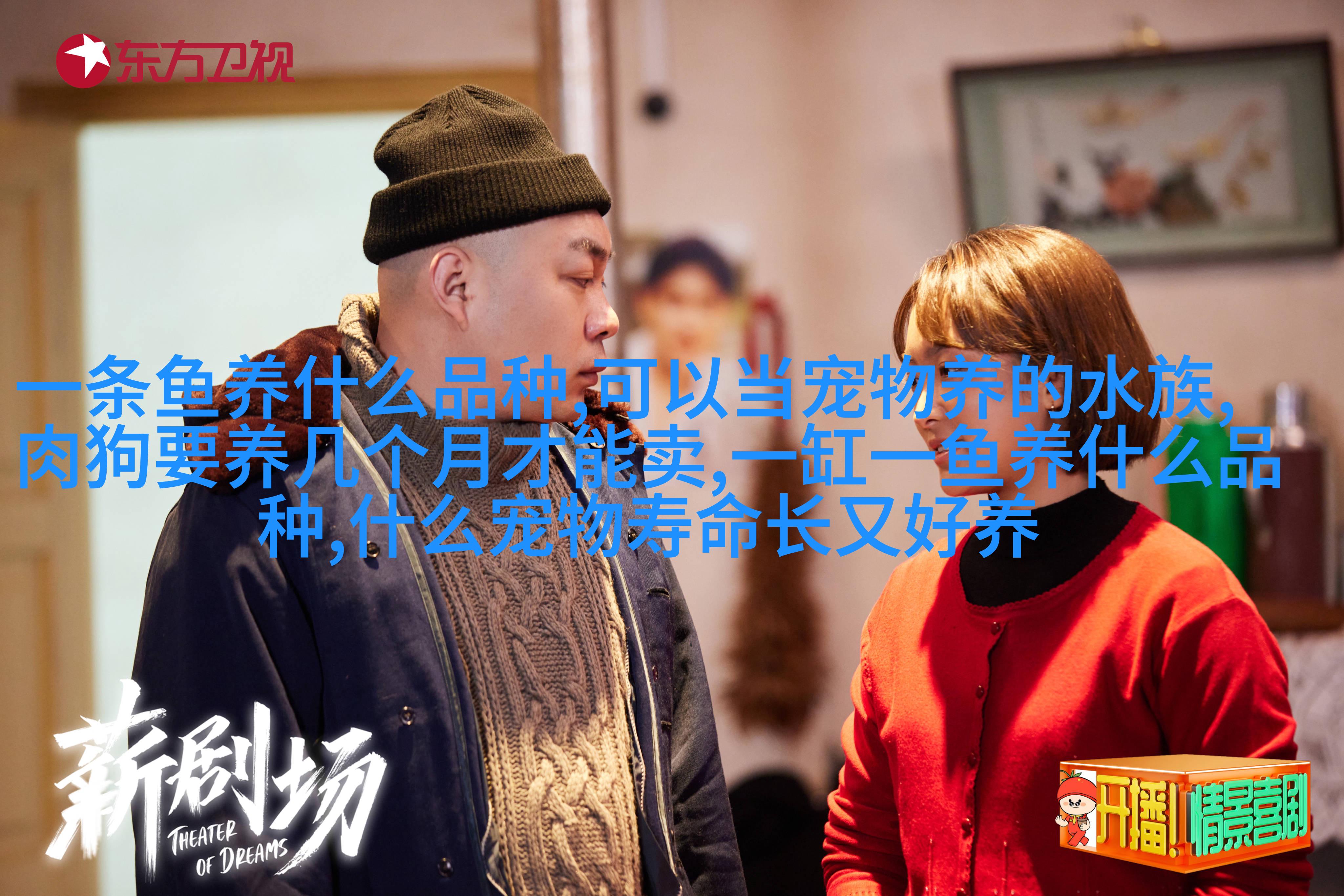 比熊