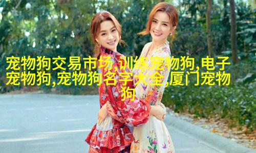 俏皮的小丑