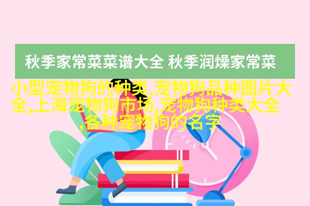 边境牧羊犬BorderCollie:在世界犬种智商排行第一名