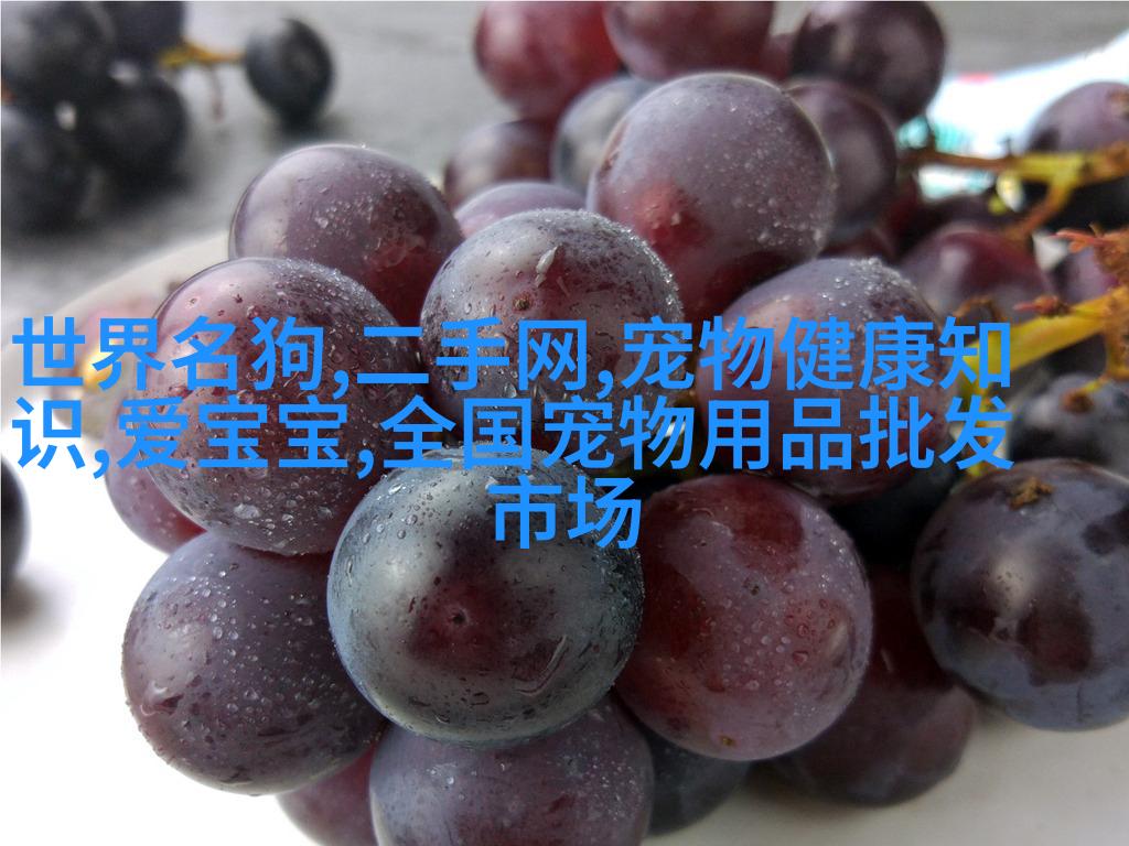 米诺克教父犬