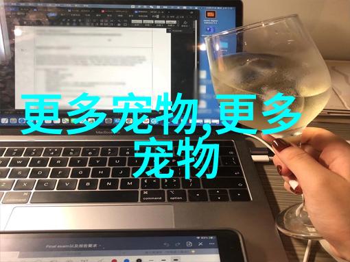 锡伯虎