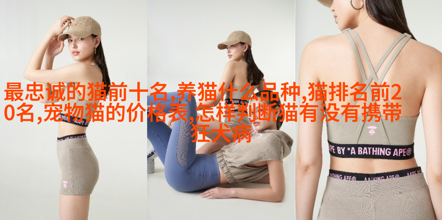 英国长毛
