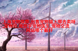 泰米尔
