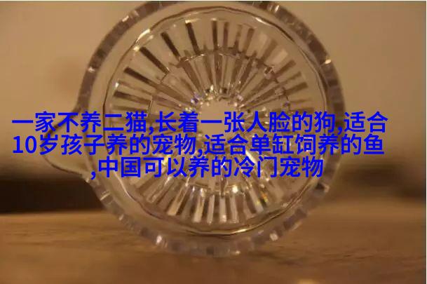法老犬