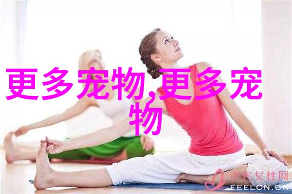 比熊犬