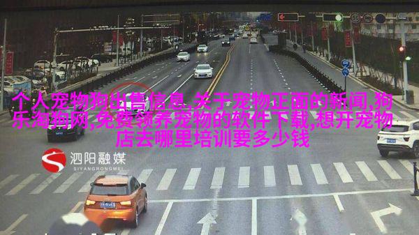 欧洲短须缪斯