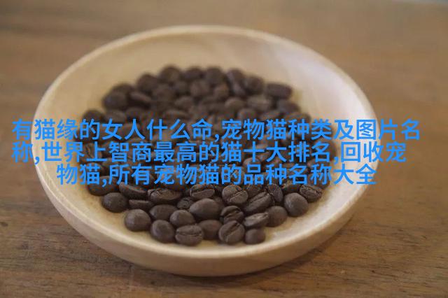 松狮