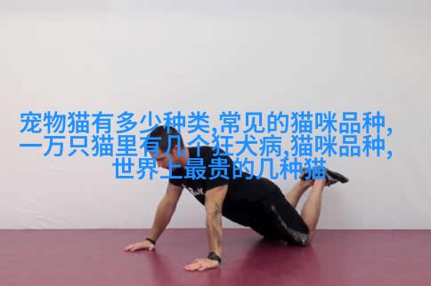 晚上守护