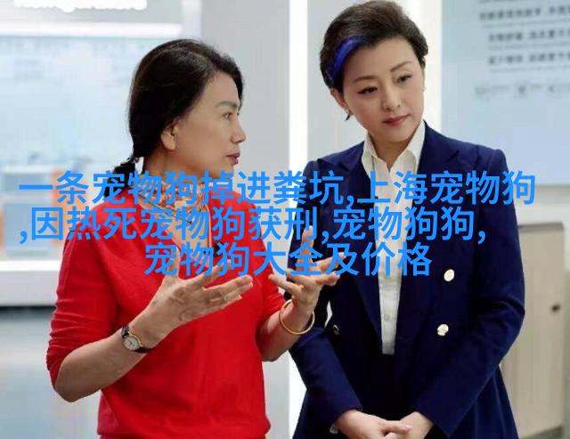 家庭团聚