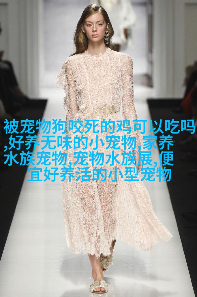 拉布拉多留里治者