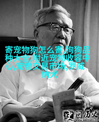 大型马来西亚狮子头