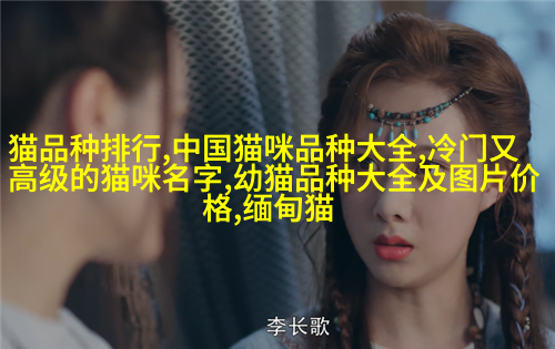 英国短毛