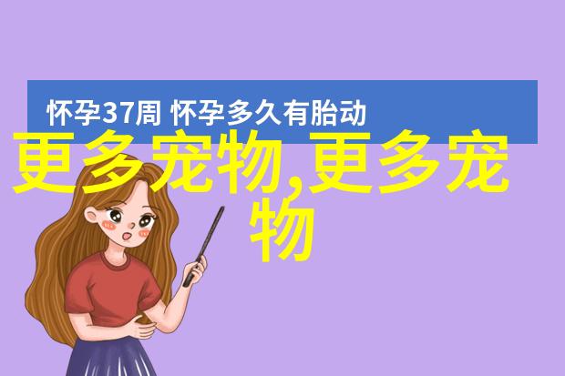 美国简约