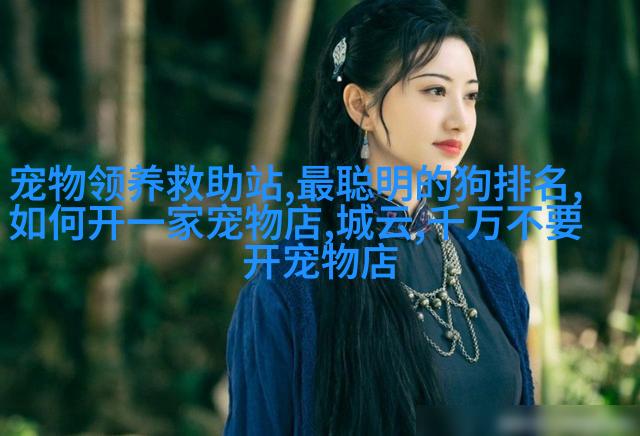 大英短毛