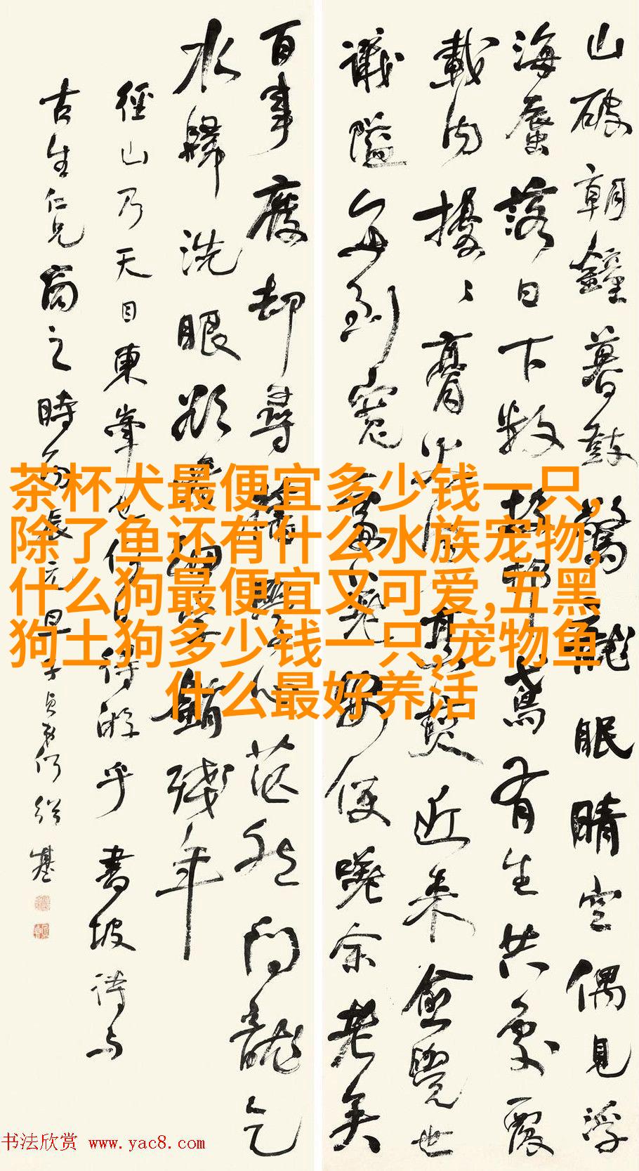 斯芬克斯