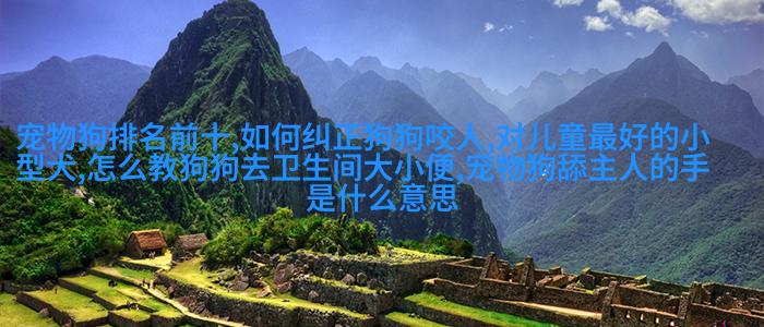 图五：埃及迷你狮子头