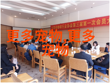 天天嚷嚷着狗聪明,还搞了个智商排行榜,这喵星人怎么能服气