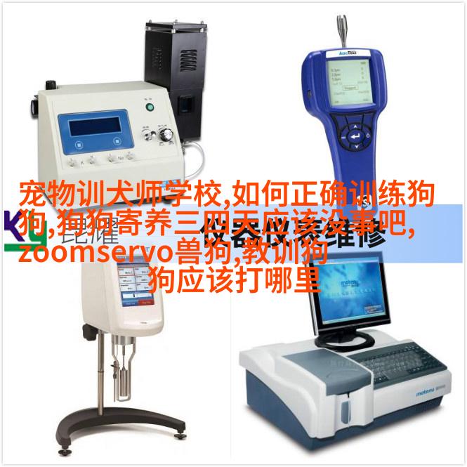 潜水艇鱼是热带鱼吗豚科观赏鱼有淡水和咸水很多种类